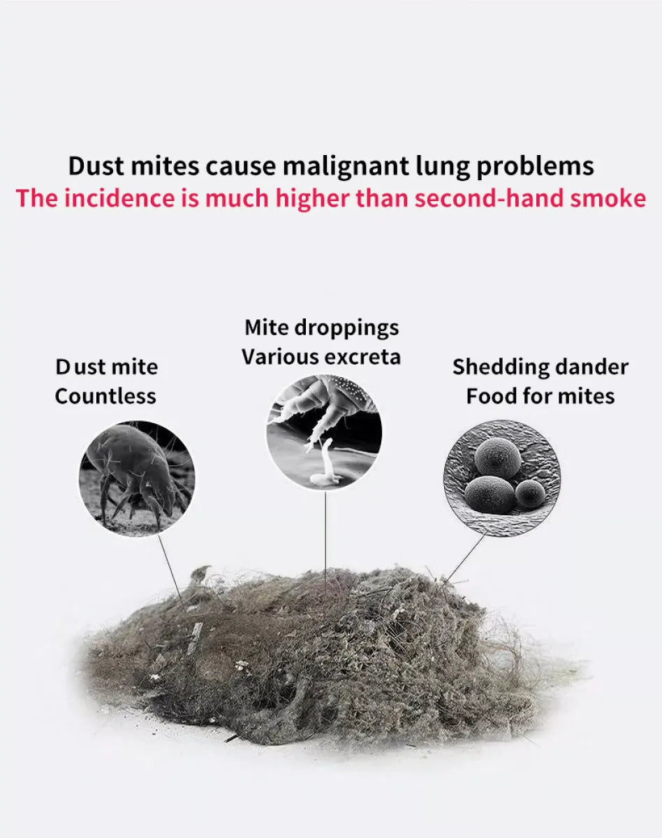 Deep Vacuum & Mite Removal