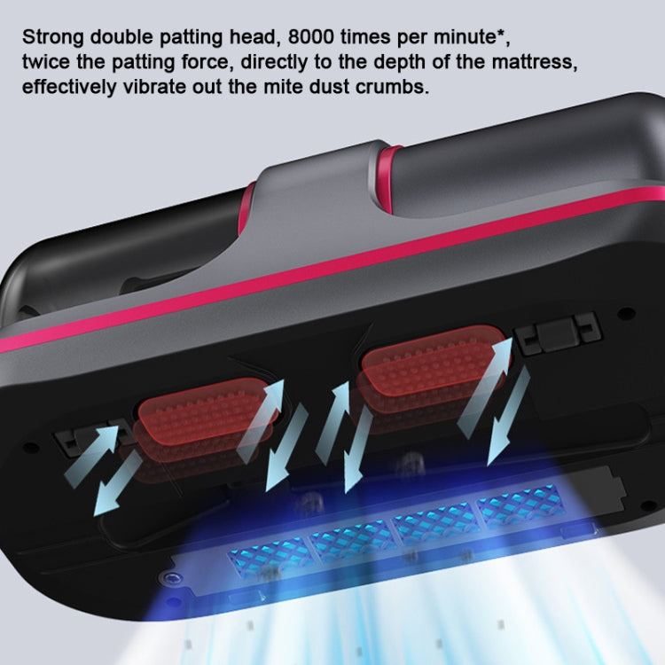 Deep Vacuum & Mite Removal