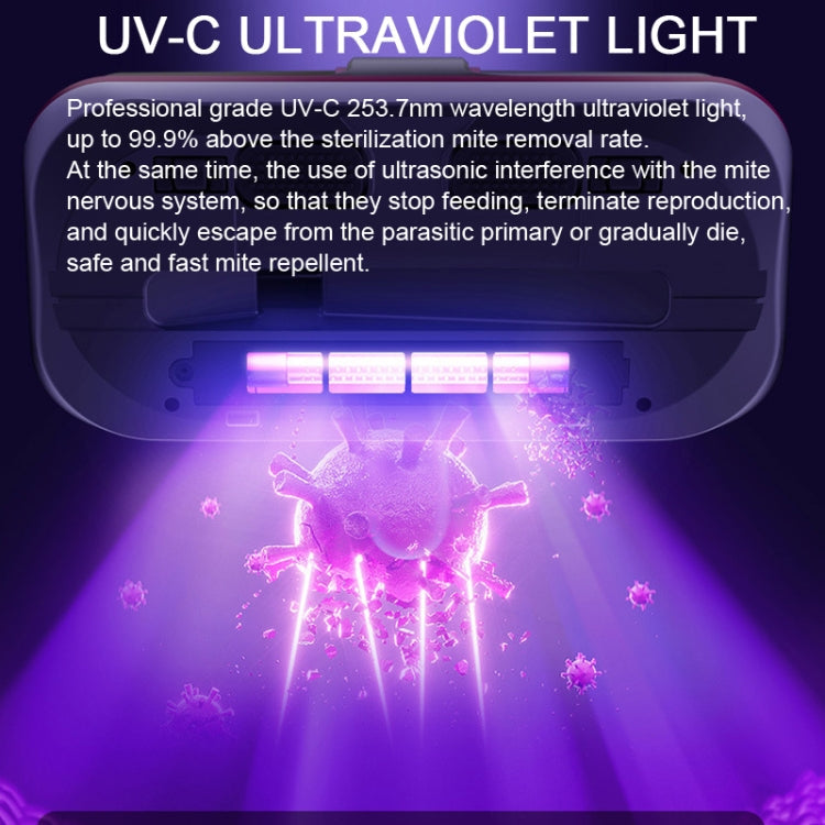 Deep Vacuum & Mite Removal