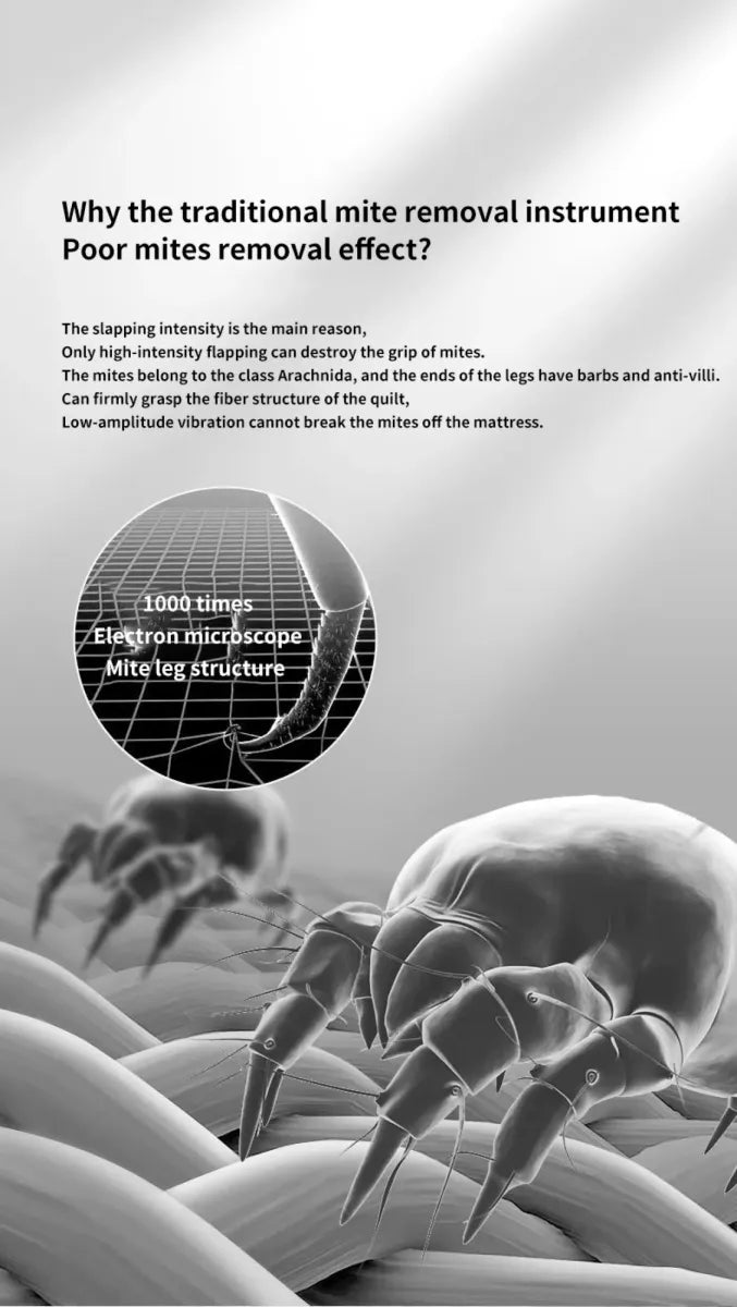 Deep Vacuum & Mite Removal